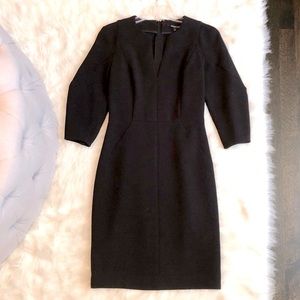 NWOT Rachel Roy fitted princess seamed dress